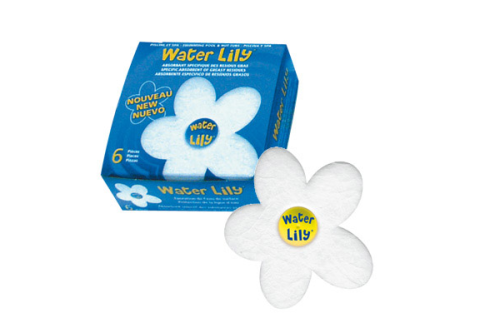 Water Lily